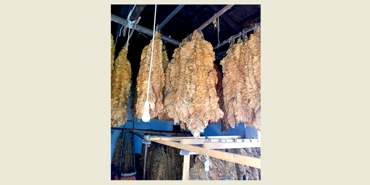 Ξάνθη: Μια σύλληψη για λαθρεμπόριο καπνού – ΦΩΤΟ