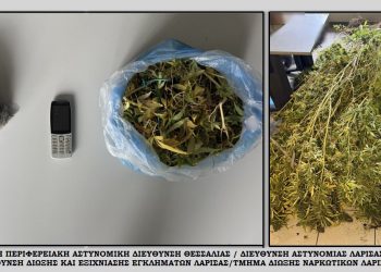 Λάρισα: Στη «φάκα» της ΕΛΑΣ άνδρας που καλλιεργούσε κάνναβη στην «ανενεργή» επιχείρησή του – ΦΩΤΟ