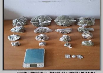 Καρδίτσα: Στον «ιστό» της ΕΛΑΣ διακινητής κάνναβης – ΦΩΤΟ