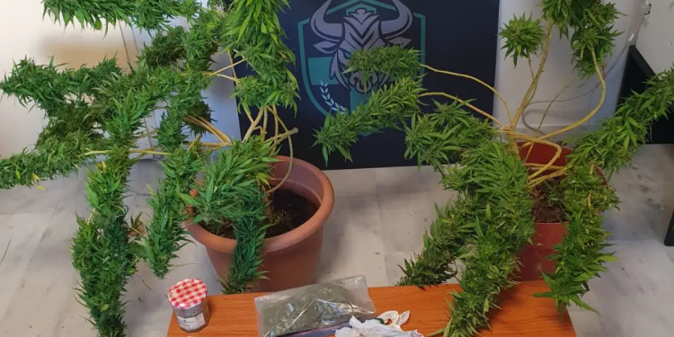 Χανιά: Τρεις συλλήψεις για απόπειρα ανθρωποκτονίας και διακίνηση ναρκωτικών – ΦΩΤΟ