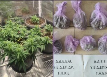 Eίχε μετατρέψει το σπίτι του στην Πιερία σε «θερμοκήπιο» υδροπονικής κάνναβης – Συνελήφθη 32χρονος – ΦΩΤΟ