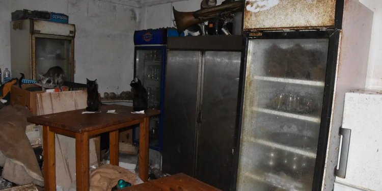 Δονούσα: Σύλληψη δράστη για κακοποίηση ζώων συντροφιάς – ΦΩΤΟ