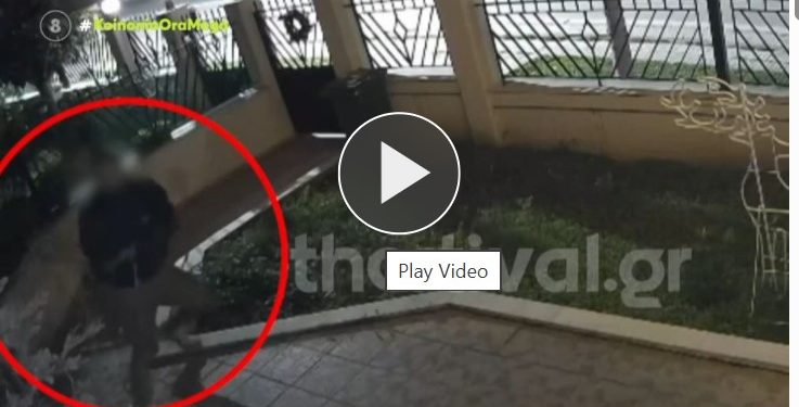 Θεσσαλονίκη: O απρόσεκτος κλέφτης του χριστουγεννιάτικου δένδρου – ΒΙΝΤΕΟ