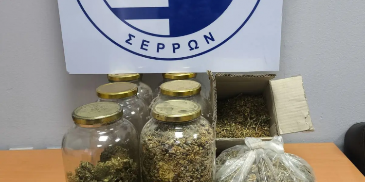 Στοχευμένες δράσεις στην Κεντρική Μακεδονία για την καταπολέμηση της διάδοσης των ναρκωτικών – ΦΩΤΟ