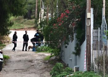 Σαλαμίνα: Ομολόγησε η νύφη ότι σκότωσε την 75χρονη – Γιατί έφτασε στο έγκλημα