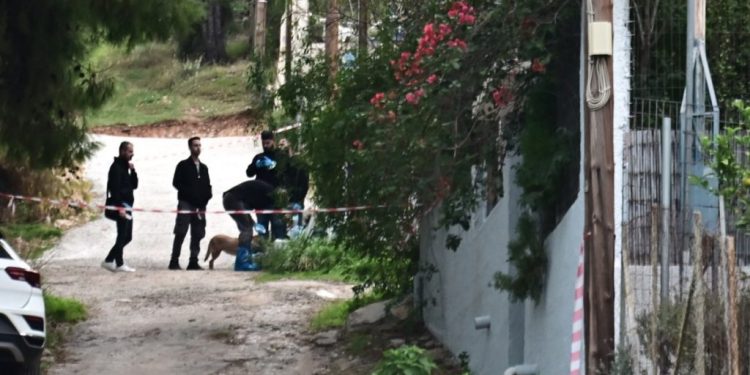 Σαλαμίνα: Ομολόγησε η νύφη ότι σκότωσε την 75χρονη – Γιατί έφτασε στο έγκλημα