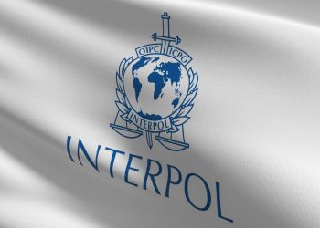 Interpol: Σε νέα επίπεδα ρεκόρ έφτασε το λαθρεμπόριο ζώντων ζώων