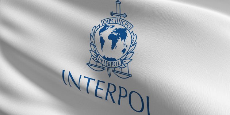 Interpol: Σε νέα επίπεδα ρεκόρ έφτασε το λαθρεμπόριο ζώντων ζώων