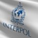 Interpol: Σε νέα επίπεδα ρεκόρ έφτασε το λαθρεμπόριο ζώντων ζώων