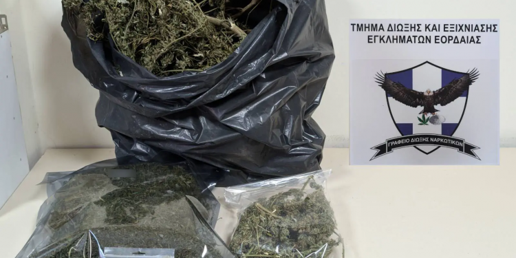Πτολεμαΐδα: Σύλληψη 60χρονου για καλλιέργεια κάνναβης – ΦΩΤΟ