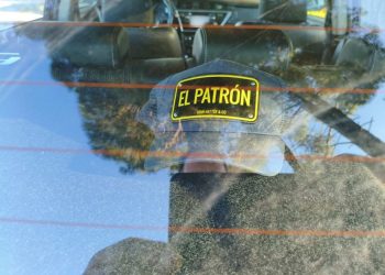 Επιχείρηση «Ίπαλλος»: Πώς έφτασαν οι αρχές στη σύλληψη του «Έλληνα Εσκομπάρ» – ΒΙΝΤΕΟ – ΦΩΤΟ