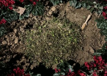 Θεσσαλονίκη: Κάποιοι ξήλωσαν και εξαφάνισαν τη μαρμάρινη πλάκα για τις κακοποιημένες γυναίκες από τη Νέα Παραλία