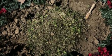 Θεσσαλονίκη: Κάποιοι ξήλωσαν και εξαφάνισαν τη μαρμάρινη πλάκα για τις κακοποιημένες γυναίκες από τη Νέα Παραλία