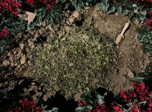 Θεσσαλονίκη: Κάποιοι ξήλωσαν και εξαφάνισαν τη μαρμάρινη πλάκα για τις κακοποιημένες γυναίκες από τη Νέα Παραλία