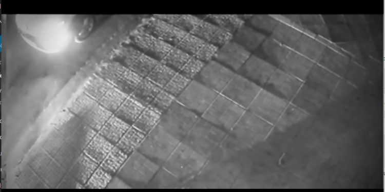 ΒΙΝΤΕΟ ΝΤΟΚΟΥΜΕΝΤΟ από τη στιγμή της σύλληψης του 16χρονου γιου του Μιχάλη Κατρίνη μετά από καταδίωξη – ΦΩΤΟ