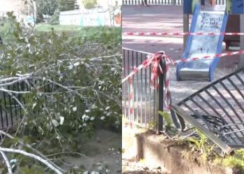 Είχαν… Άγιο – Έπεσε δέντρο σε παιδική χαρά στο Χαϊδάρι  – ΒΙΝΤΕΟ