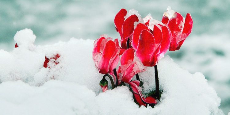 Πρωτοχρονιά με πολικές θερμοκρασίες και χιόνια στα Βόρεια της Αττικής