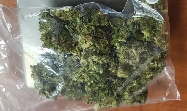 Γρεβενά: Συνελήφθη 31χρονος για κατοχή ναρκωτικών – ΦΩΤΟ